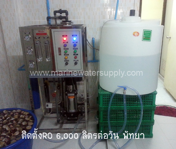 RO 6000 liters per day