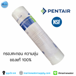 Pentair ไส้กรองPP 5 ไมครอน ขนาด 10" USA 0